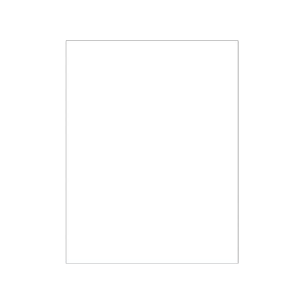 Bsc Preferred 8-1/2 x 11'' Glossy White Rectangle Laser Labels, 100PK BUY00027739 - main